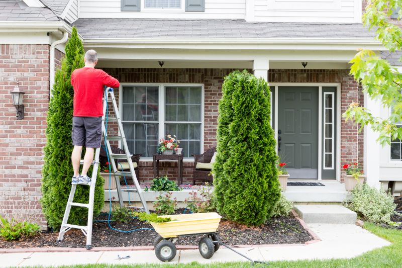 Arborvitae Pruning in Ventura County, CA