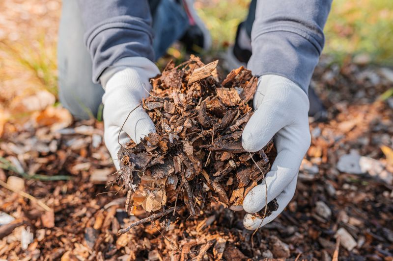 Brown Mulch Installation in Honolulu, HI