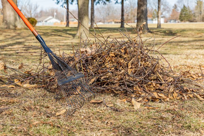 Brush Cleaning Service in Ventura County, CA