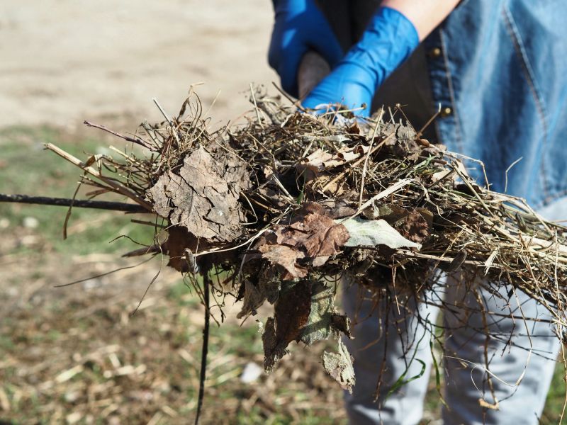 Brush Cleanup Service in Ventura County, CA