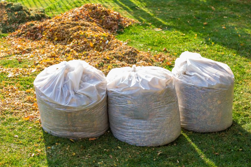 Collected Leaves and Yard Waste