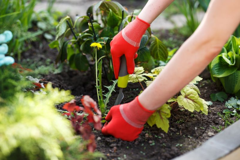 Garden Deweeding in Rockwall, TX