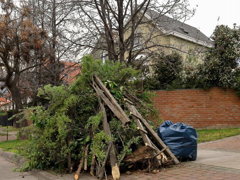 Lawn Debris Cleanup in Ventura County, CA