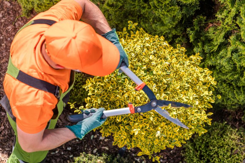 Shrub Pruning in Honolulu, HI