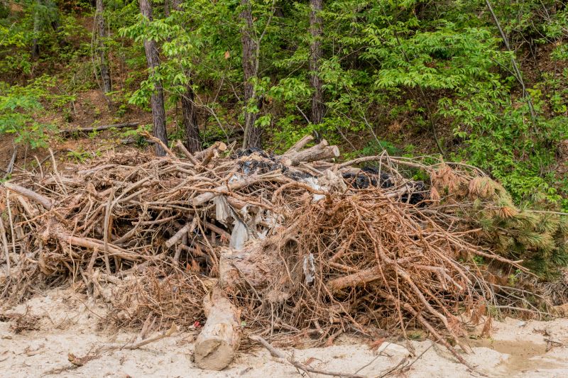 Tree Debris Removal in Ventura County, CA