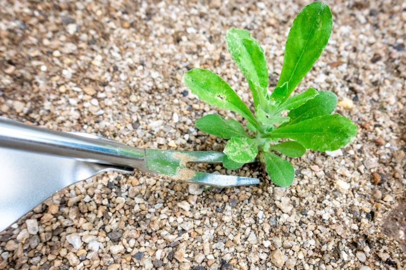 Tools Used in Weed Pulling