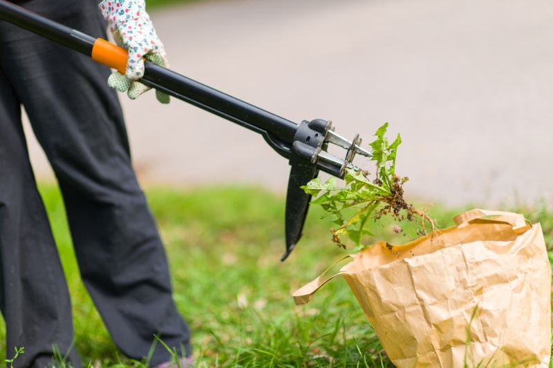 Professional Weed Removal Equipment